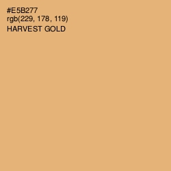 #E5B277 - Harvest Gold Color Image